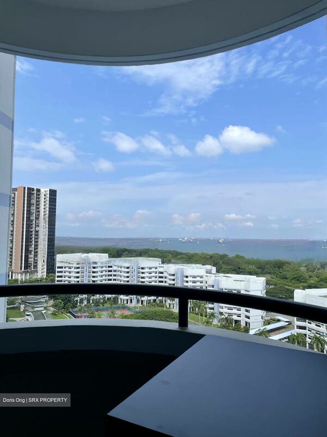 Mandarin Gardens (D15), Condominium #589348671